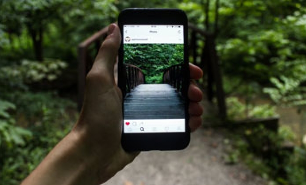 Instagram’s Impact on Indonesian Businesses | Ipsos