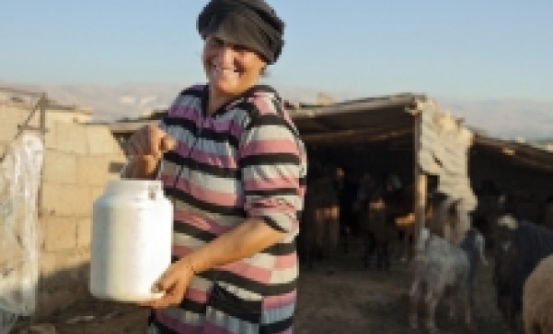 UN Women Reports | Ipsos