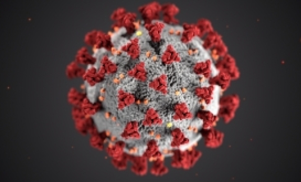 Signals #2: Understanding the Coronavirus Crisis