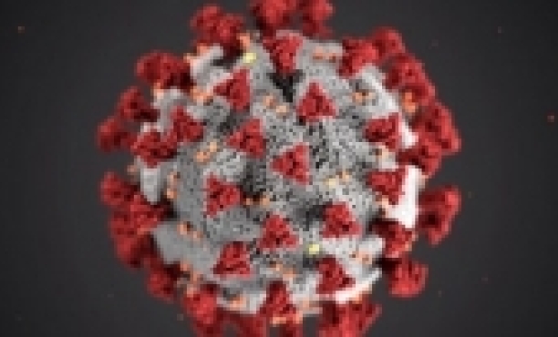 Señales: entendiendo la crisis del coronavirus
