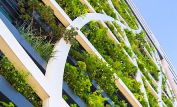 Sustainability | Green building | Ipsos