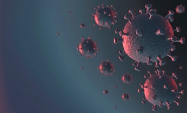 COVID19 is defining the new normal each day - a POV 