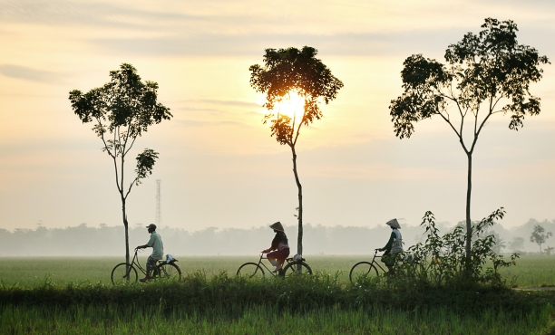 Ipsos Update July 2021