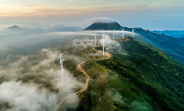 Ipsos Sustainability Practice