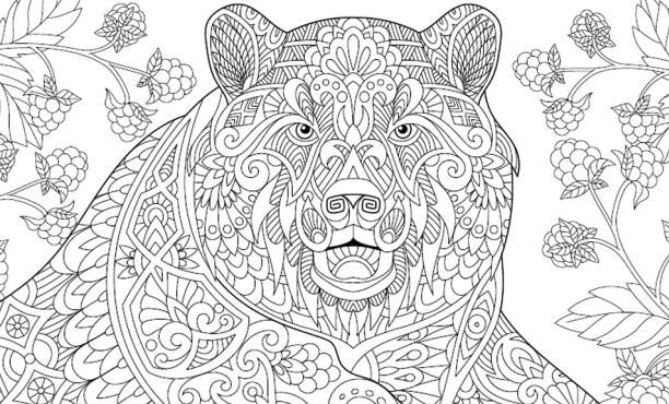 Flair Russia 2019 | Ipsos