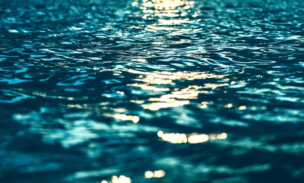 Flair France 2018 | Ipsos