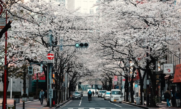 Ipsos Update - march 2022