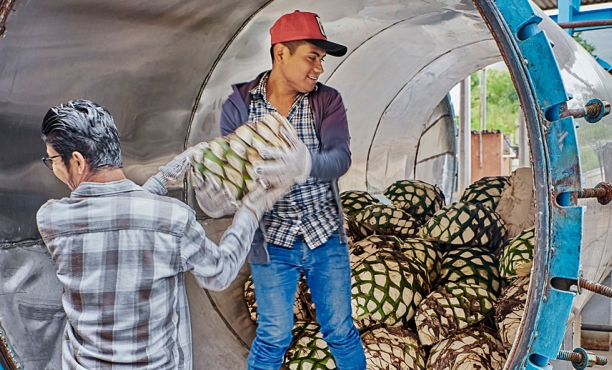 Here’s who people think can solve climate change