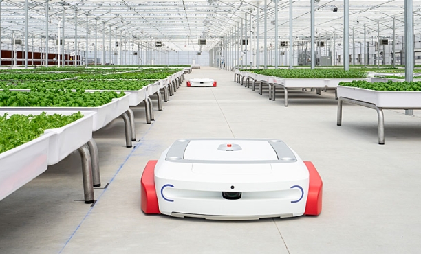 How indoor farms make food more accessible