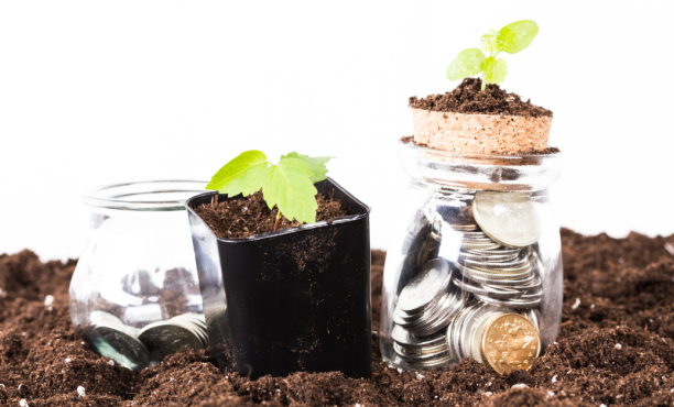 CSR & Reputation Study | Ipsos