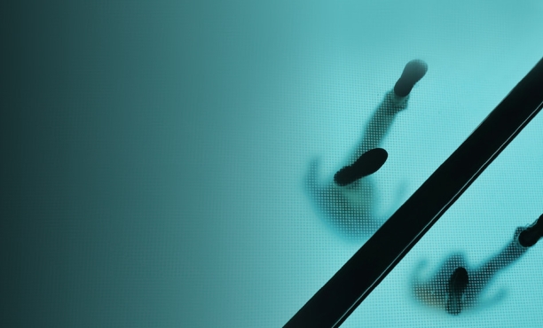 Ipsos | Confianza |Sectores