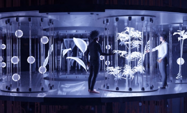 Der Bericht des ESG Council