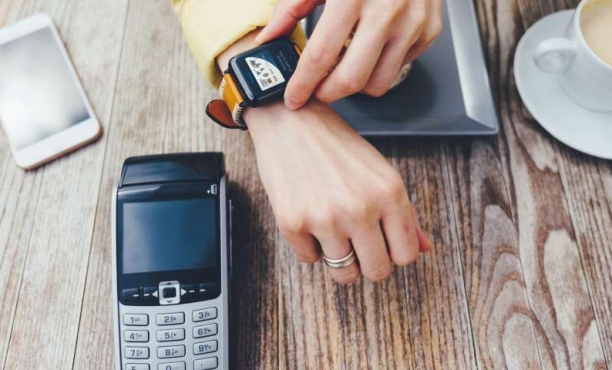 Decoding the European Mobile Wallet Evolution