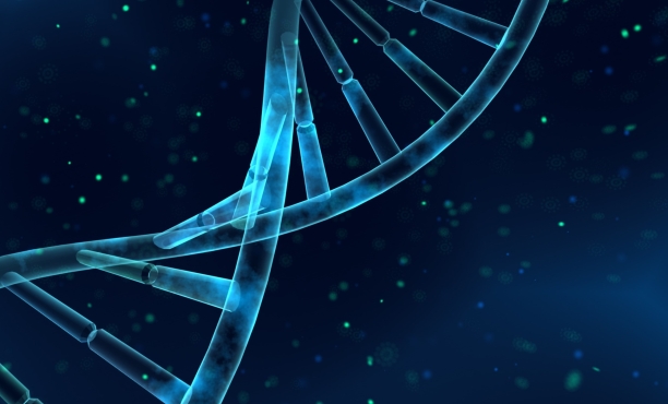 Innovation Areas in In-Vitro Diagnostics Theme Image