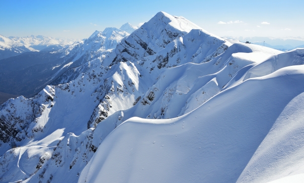 Ipsos Update – Январь 2024