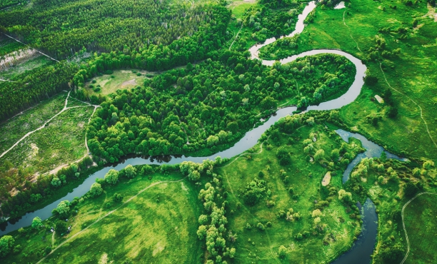 ESG: un imperativo strategico per aziende e marche