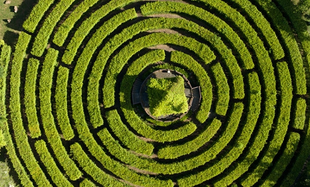 Perils of Perceptions