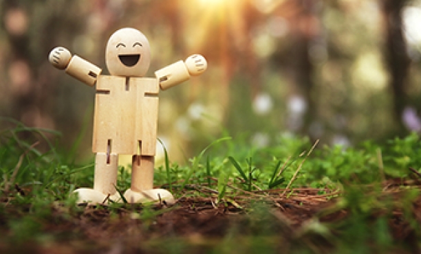 Global attitudes to happiness and quality of life