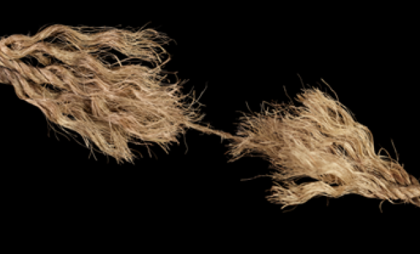 Ipsos Launches AI-Powered Risk Informer for Real-Time, Project-Based Risk Monitoring