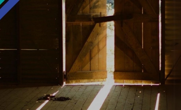 ゲームIP ゴールドラッシュに乗り遅れない