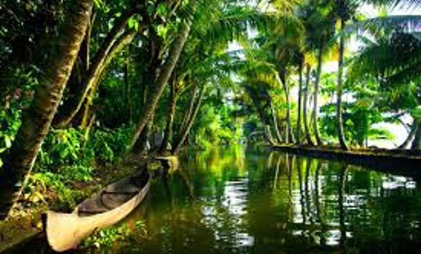 Ipsos Update August 2025