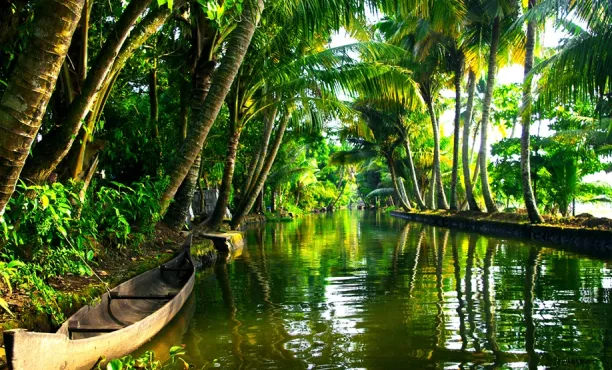 Ipsos Update - Augustus 2025