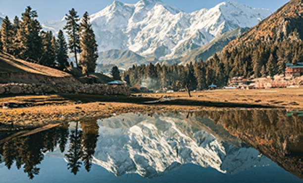 Ipsos Update – January 2025