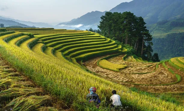 The CSO-CMO Sustainability Playbook 