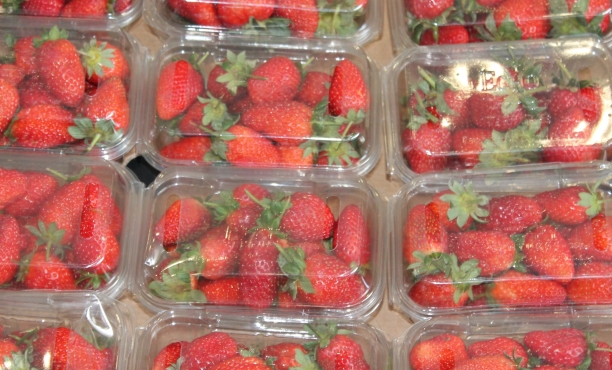 Jahody v plastovom obale