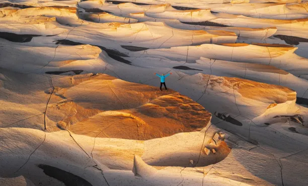 Ipsos Update – January 2026