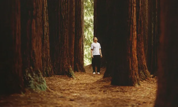 Der Wandel hin zu einem längeren Leben: Strategische Implikationen der Revolution in der Langlebigkeitsmedizin – Ipsos