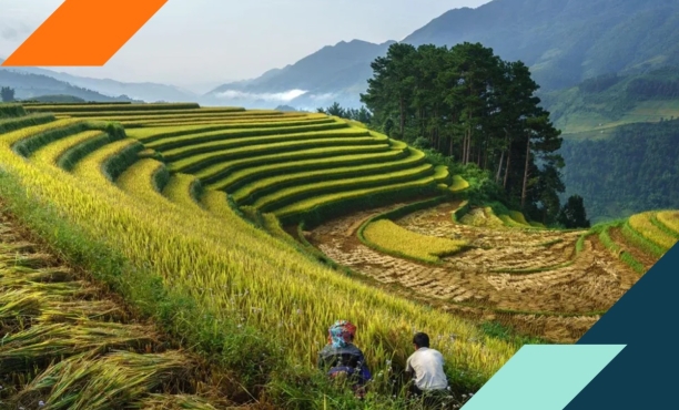 C-Suite Guide to Sustainable Growth: CMO-CSO Playbook