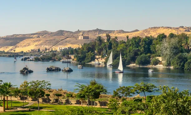 Ipsos Update – February 2026