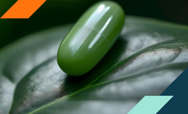 The Longevity Shift: A New Era of Physician Engagement in Longevity Medicine