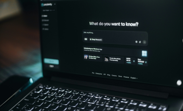 laptop screen showing search on LLM