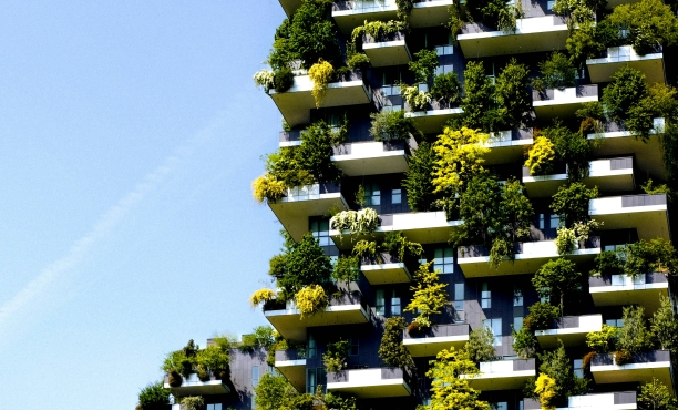 Susainable green building