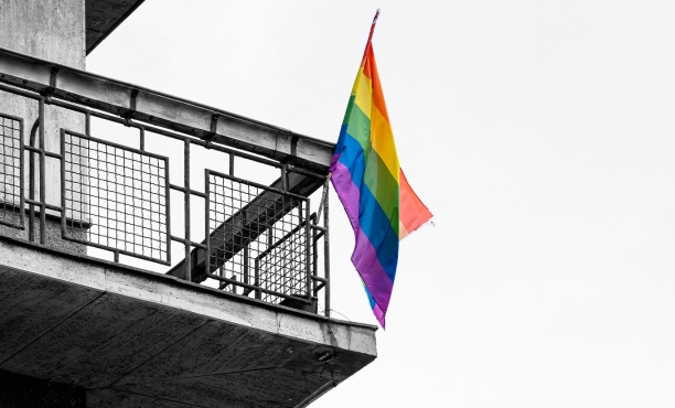 lgbt+