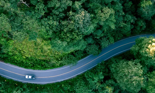 Sind E-Autos umweltfreundlich? Unsere Fakten und Insights Ipsos