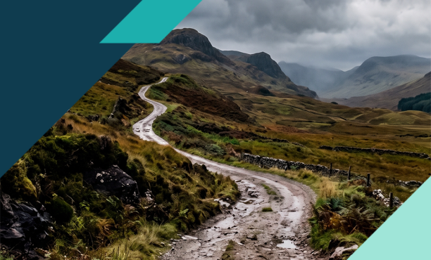 The Uneven Road to Economic Confidence