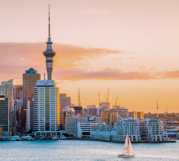 Ipsos New Zealand Issues Monitor - June 2025