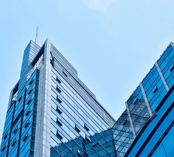 多国籍企業（MNC）の影響 - イプソス