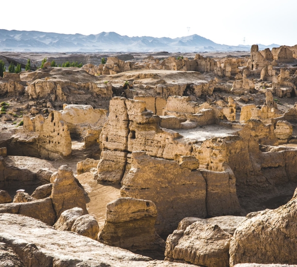 Ipsos | Ipsos Update August 2023 | Artificial intelligence | Climate Change | ESG