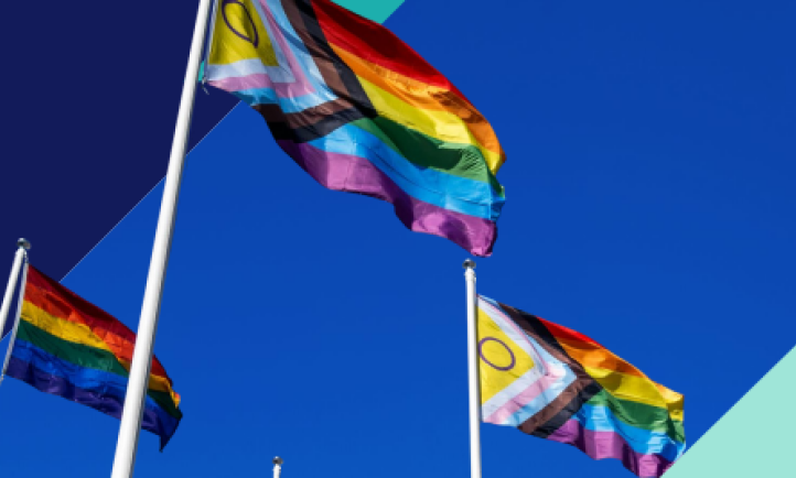 flagi LGBTQ