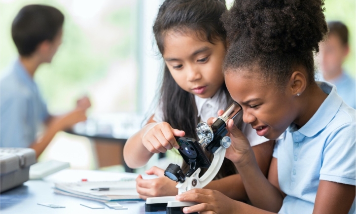 Education Monitor