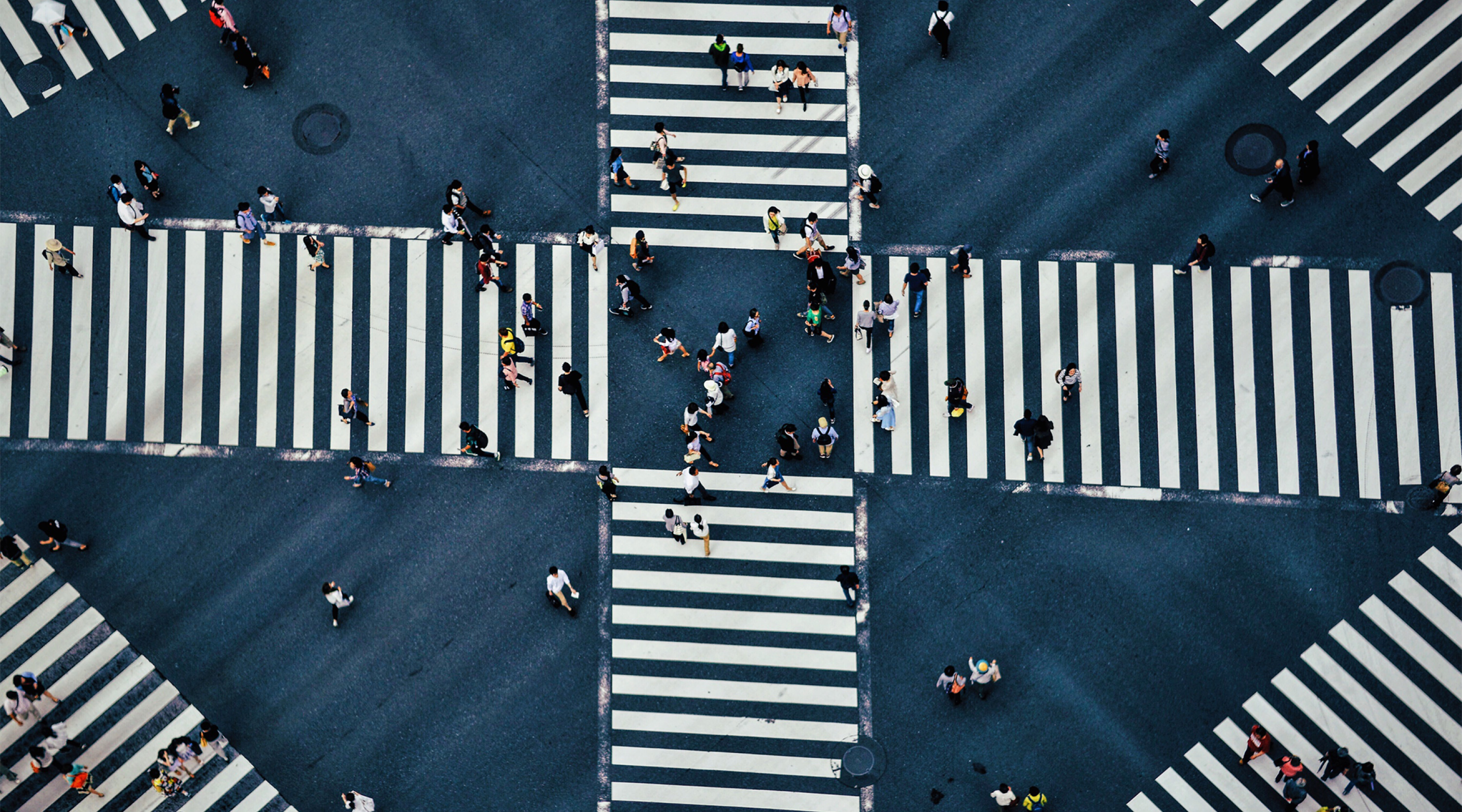 Global Opinion Polls