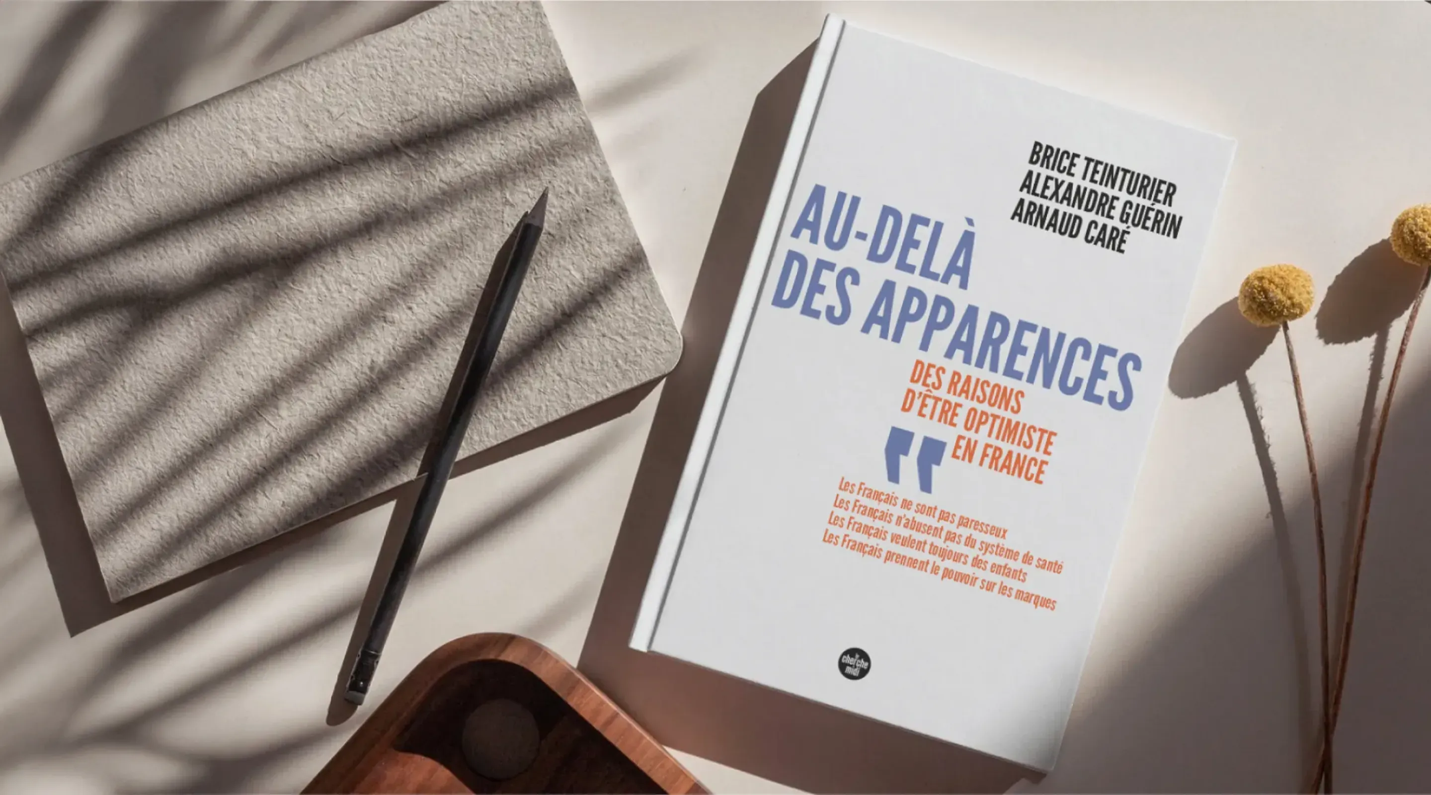 Ipsos bva | Au-delà des apparences