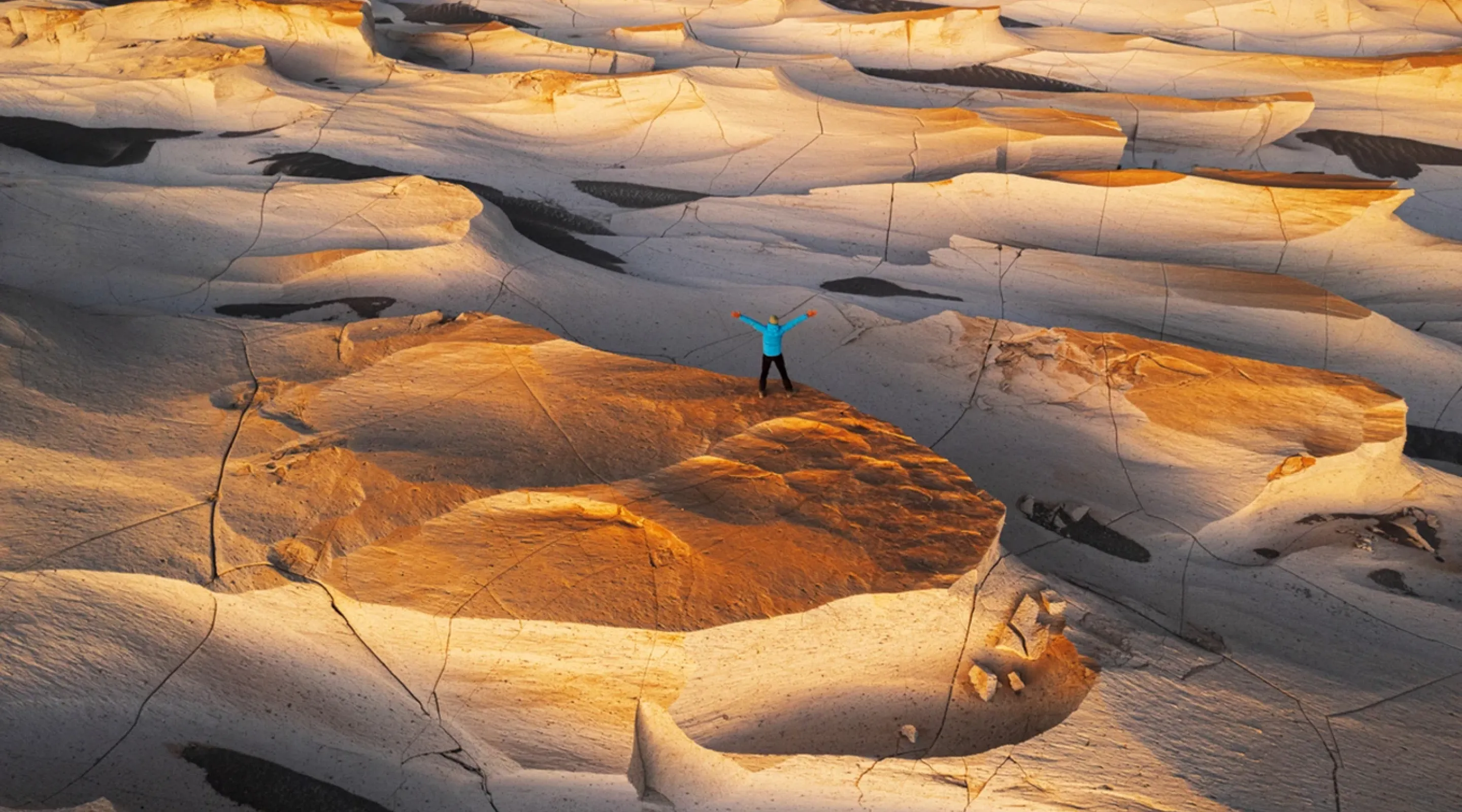 Ipsos Update – Januar 2026