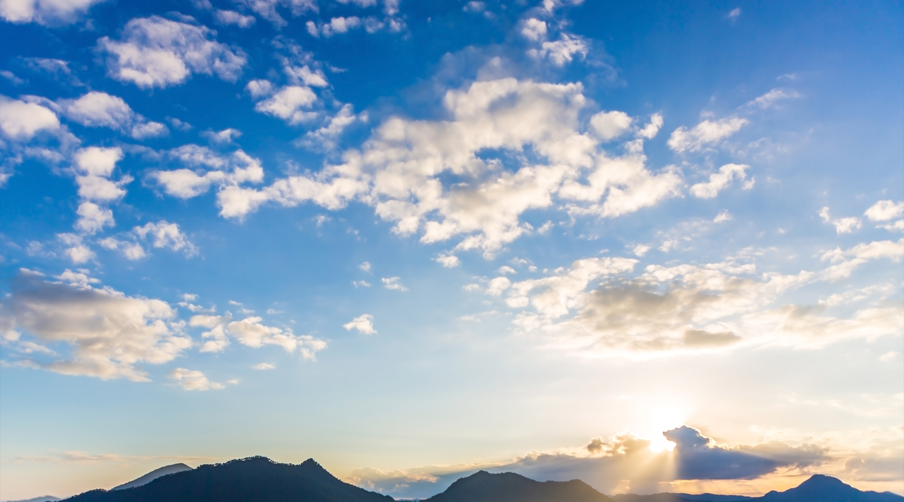 Ipsos Canada: Revue 2025 et perspectives 2026