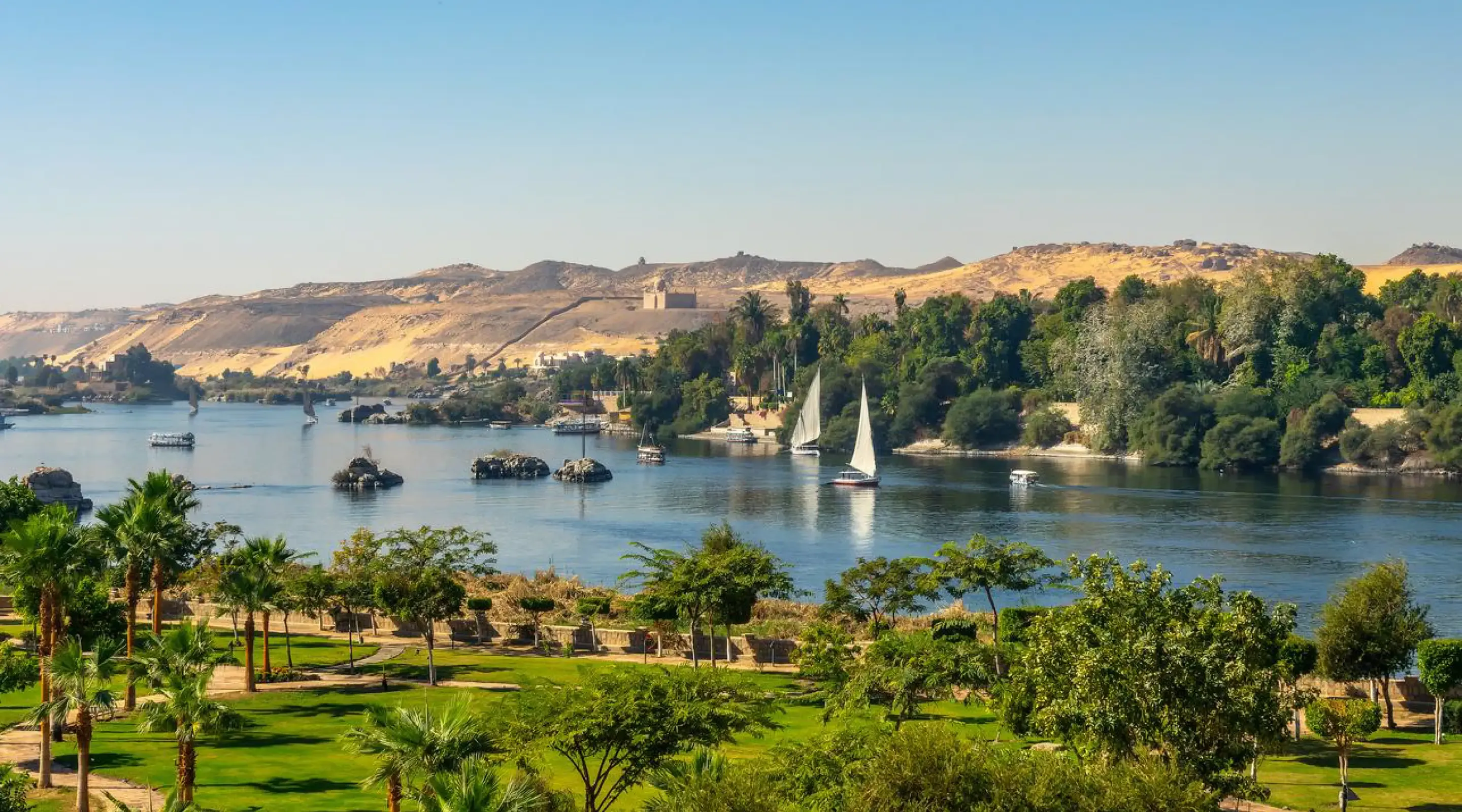 Ipsos Update | Février 2026