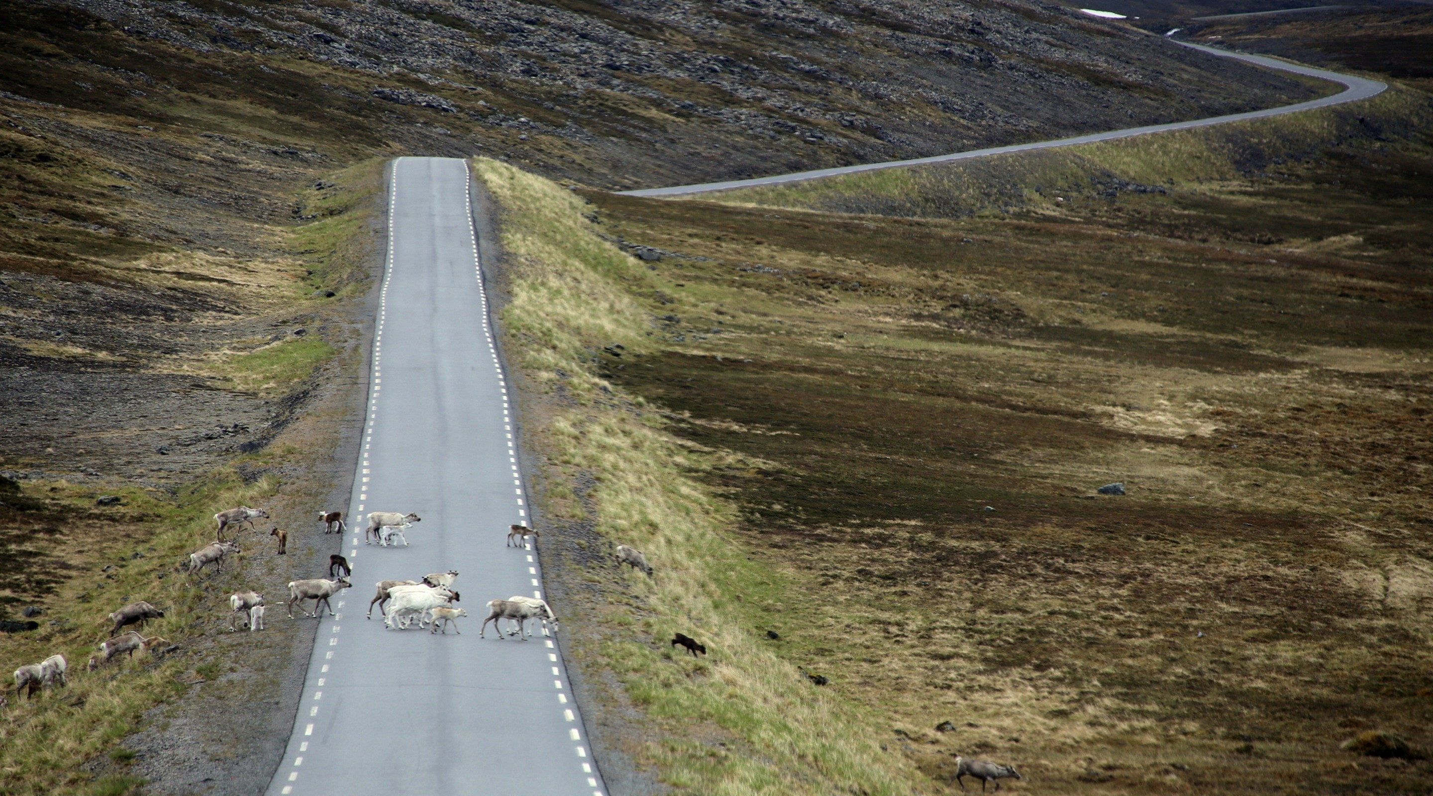 Norsk Monitor: Den største og lengstlevende samfunnsstudien i Norge